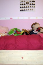 Lily Rose twin bed with drawers underneath