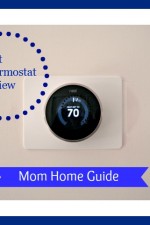 nest, thermostat, review