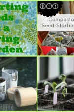 start, seeds, spring, garden