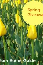 spring giveaway