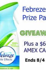 febreze, prize pack, giveaway, $60, AMEX card