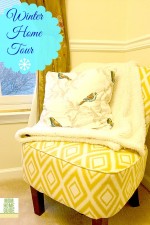 celebration of winter, blog tour