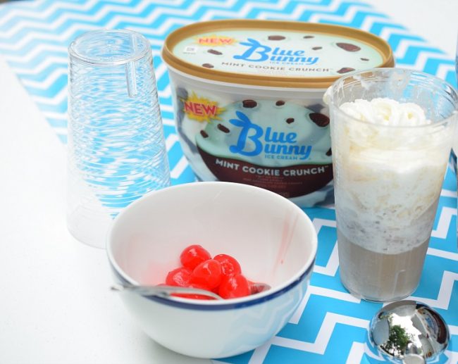 Birthday Party Ice Cream Soda Float Bar