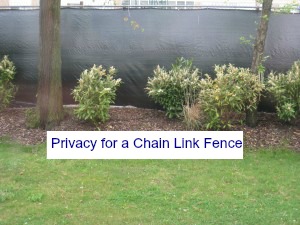 privacy for a chain link fence