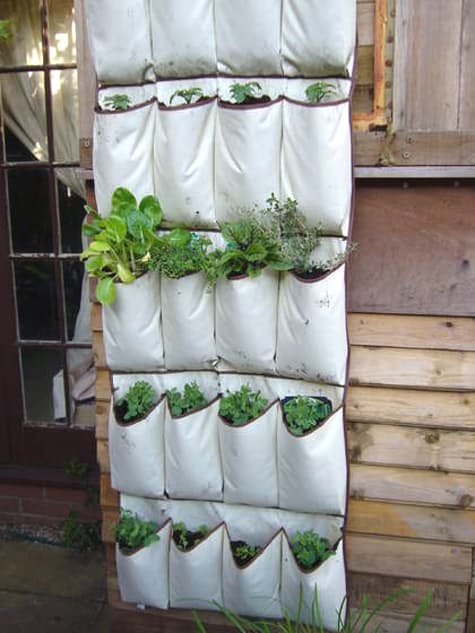 Shoe bag hanging garden -- a great way to garden in a tiny space