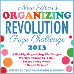 OrganizingRevolution250
