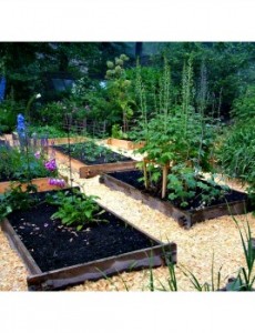 Earth Easy raised garden beds
