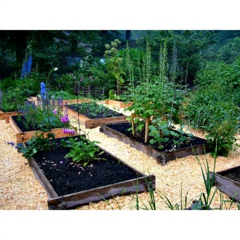 Earth Easy raised garden beds