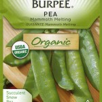 burpee, organic, pea, seeds