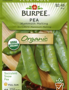 burpee, organic, pea, seeds
