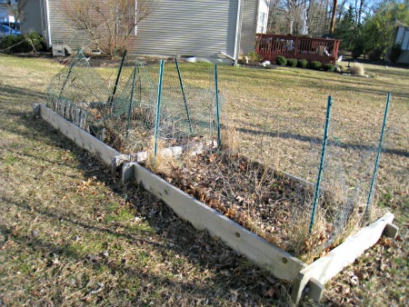 raised garden