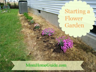 Starting A Flower Garden, Starting A Flower Garden