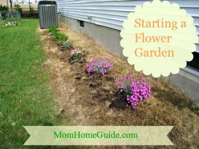 How to Start a Flower Garden