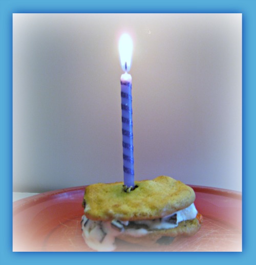 chipwich, birthday, ice cream, cookie, sandwich