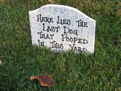 Halloween tombstone, dog