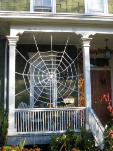 spider web, halloween decoration