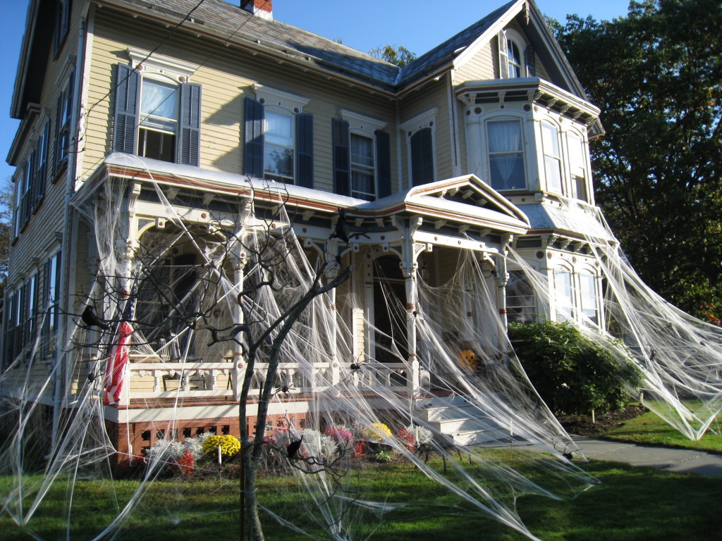 Halloween, decor, spider, web