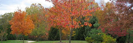 fall, sayen gardens, Hamilton, NJ