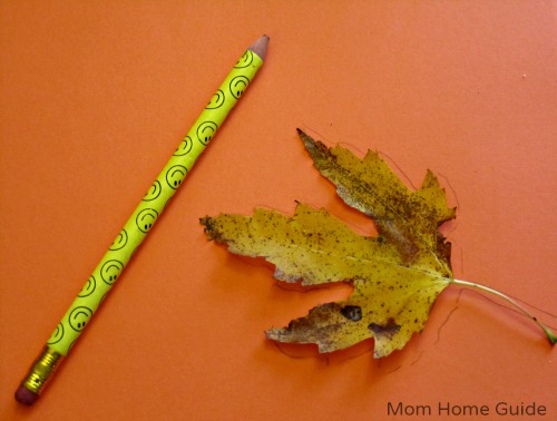 trace, leaf, thankful, banner, thanksgiving