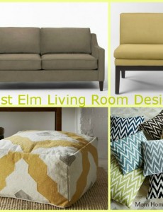 west elm, gray, brown, yellow, living room, design