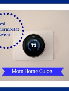 nest, thermostat, review