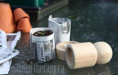 homemade, newspaper, seed, pots