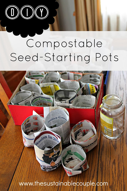 diy, compostable, seed, starting, pots