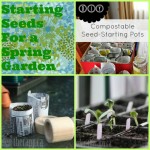 start, seeds, spring, garden