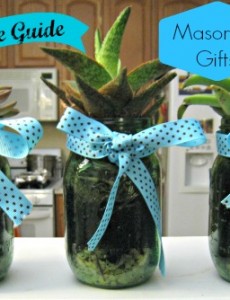succulent, mason, jar, gifts