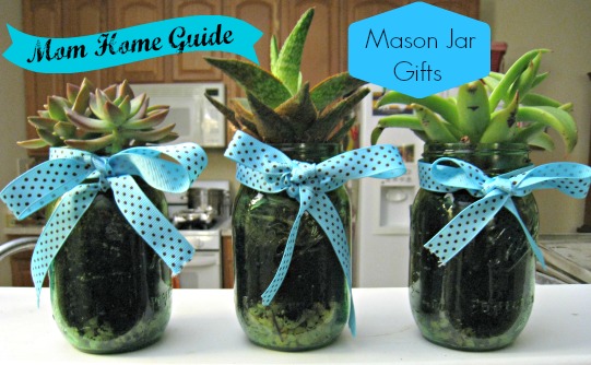 succulent, mason, jar, gifts