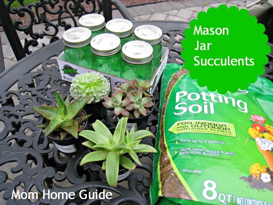 mom home guide, mason jar, succulents, potted, potting