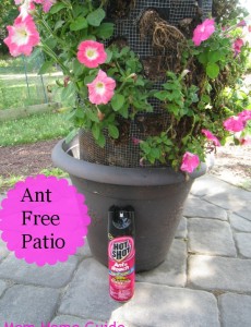 hot shot, insecticide, paver, patio, flower, container