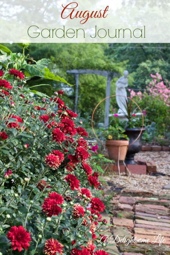 country, garden, roses