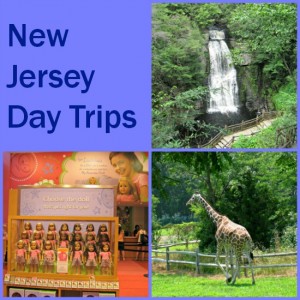 NJdaytripscollage