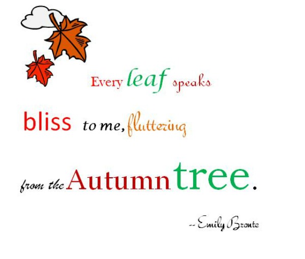 Emily Bronte autumn tree quote
