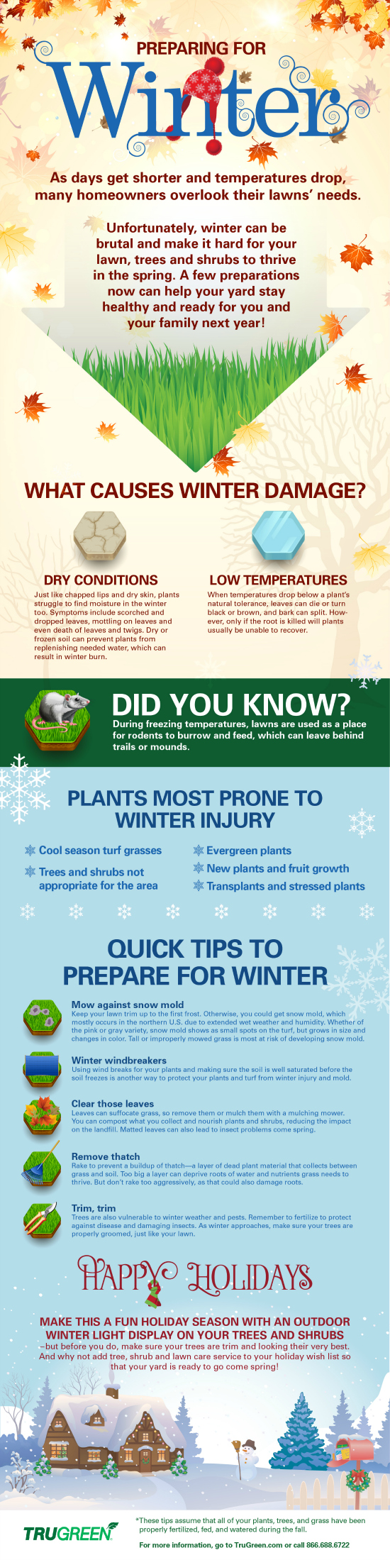 Winter Lawn Care Tips from TruGreen