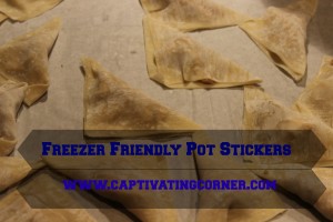 freezer friendly pot stickers