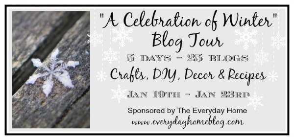 celebration of winter blog tour