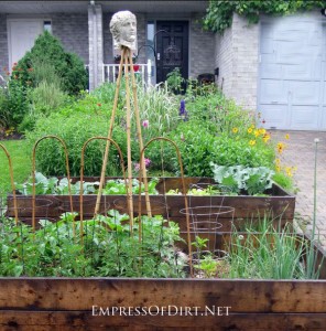 edible front yard garden