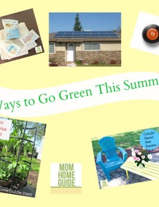 ways to go green this summer