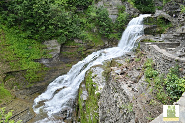 My family and I enjoyed a fantastic vacation to Ithaca, NY, last summer