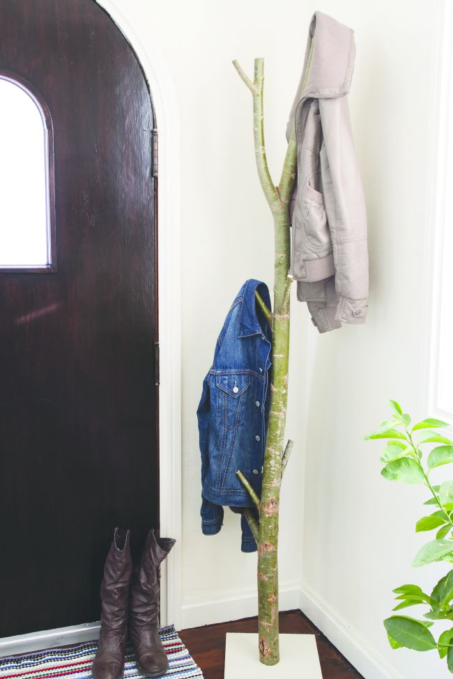 coat rack made from a tree branch