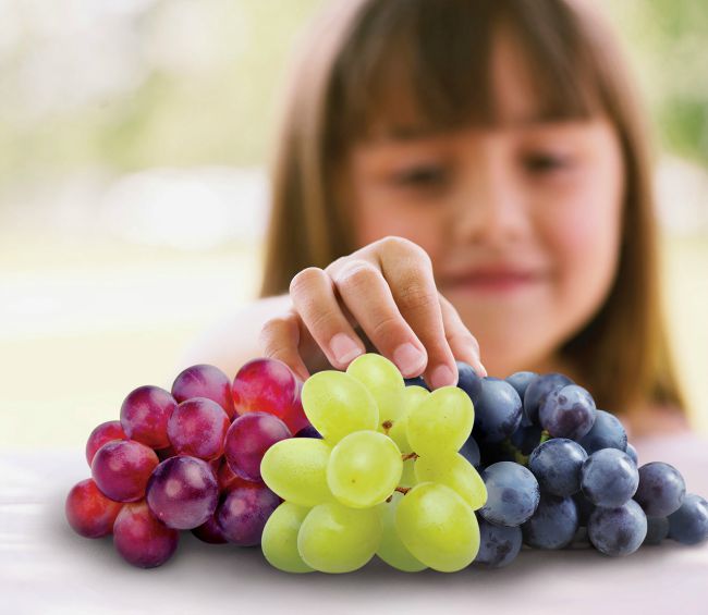 Grapes from Mexico, a healthy snack
