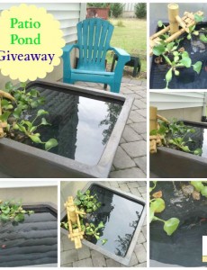 Aquascape Patio Pond Giveaway on Mom Home Guide