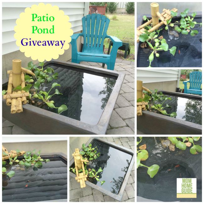 Aquascape Patio Pond Giveaway on Mom Home Guide