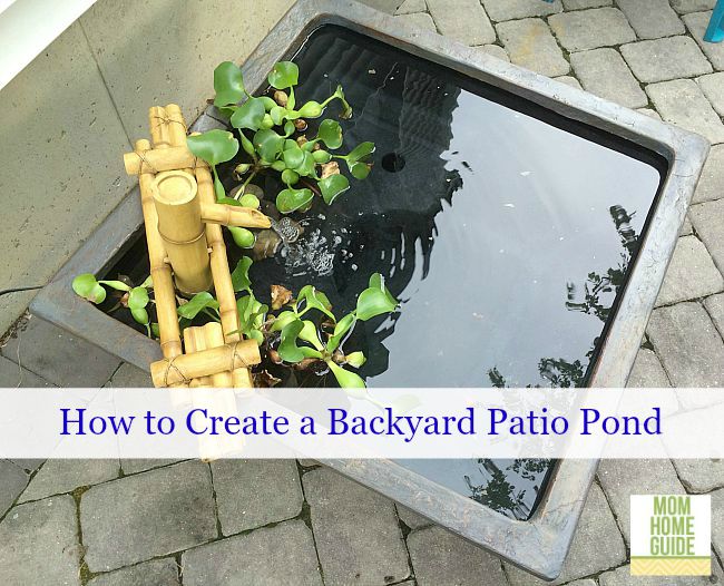 Create a patio pond for your backyard!