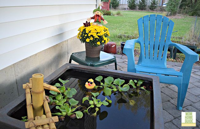 A patio with a patio pond and a pretty mum makes a nice autumn place to relax!