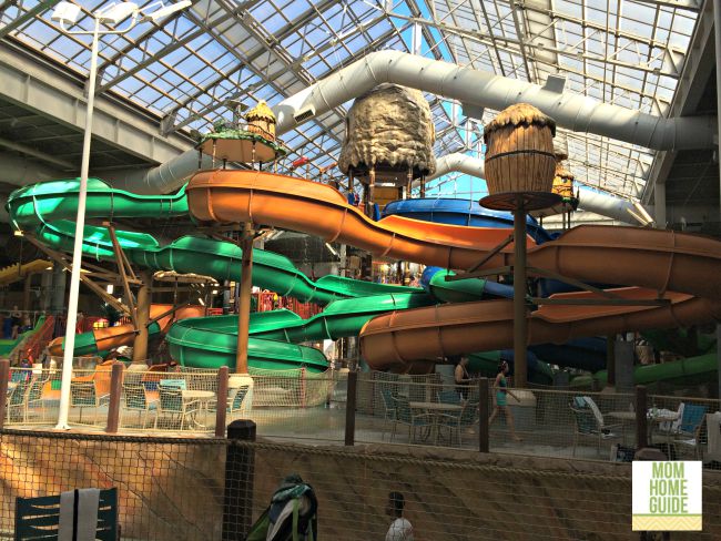 The Kalahari resort in the Poconos has lots of water slides!