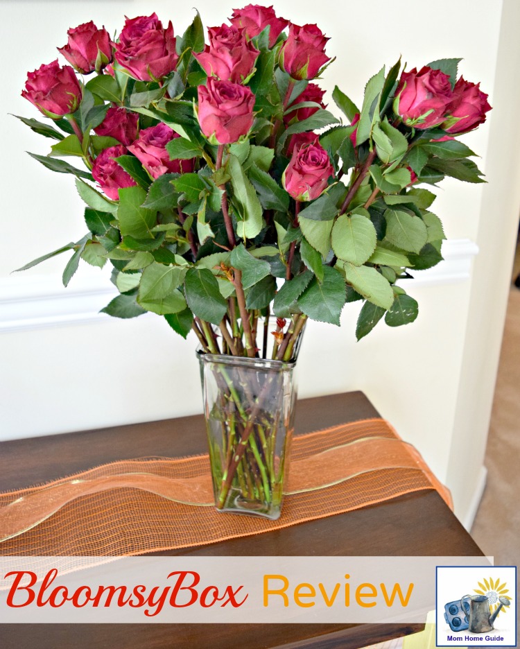 I received these beautiful red roses through the BloomsyBox subscription service!