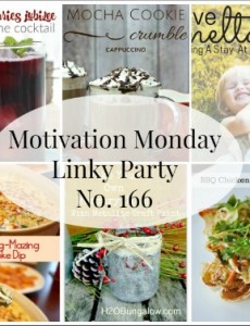 Motivation Monday Linky Party